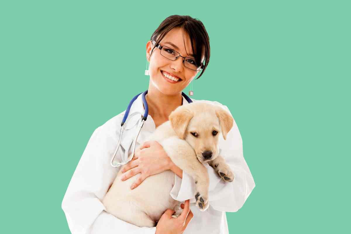 Arriva il Bonus spese veterinarie 2024