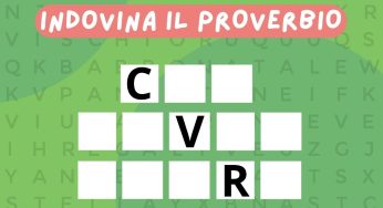 Quale proverbio si nasconde nell’immagine? È uno dei più utilizzati in assoluto
