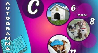 Vivi a pane ed enigmi? Mettiti alla prova con questo test, solo il 2% lo risolve